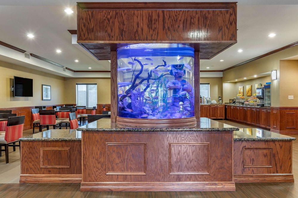 Comfort Suites Near Texas A M University Corpus Christi 9/36