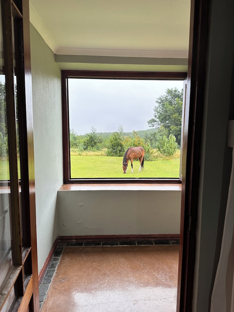 Drakensberg Mountain Retreat 23/51