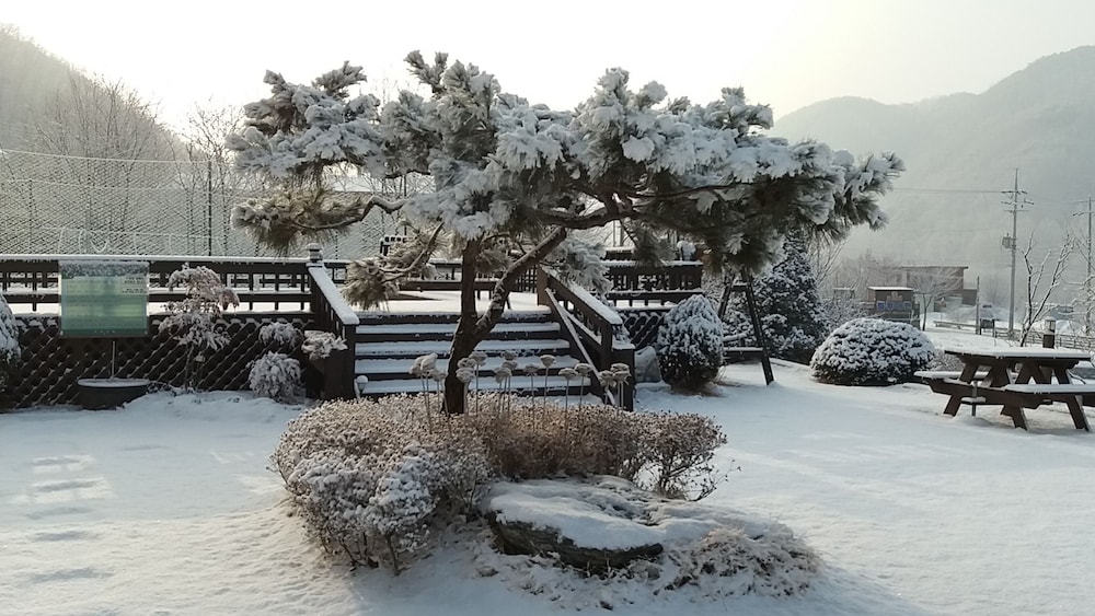 Forest Of Color Pension 40/50