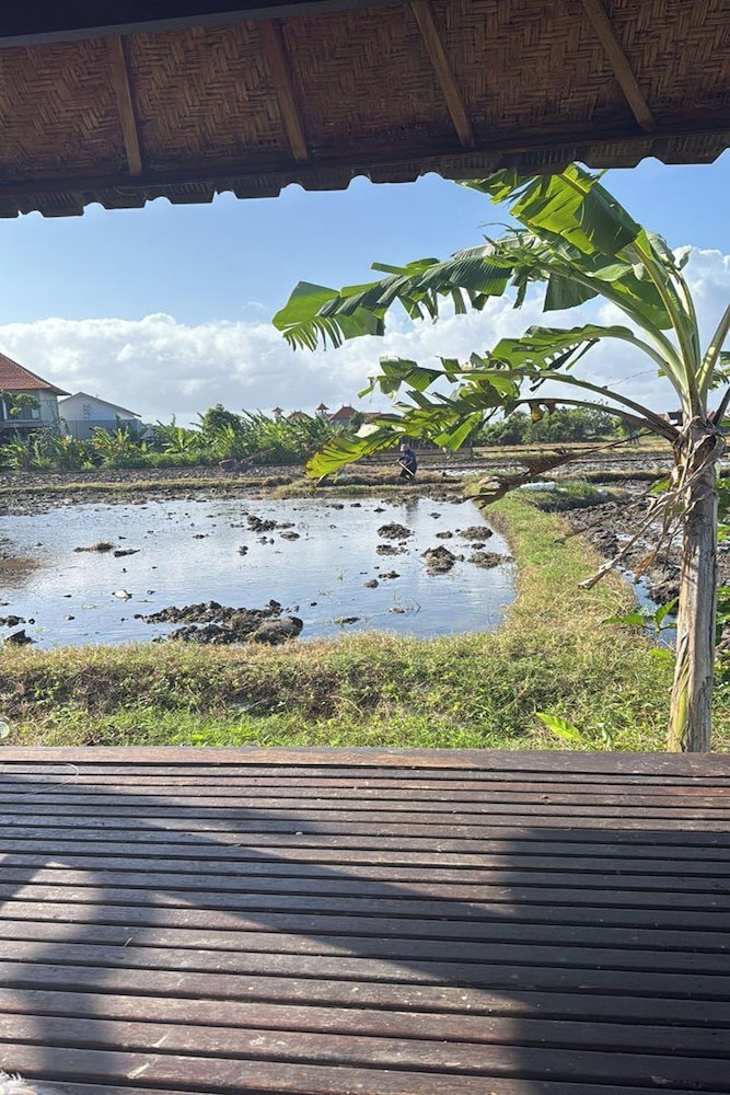 Bali Eco Living Dormitory 46/49