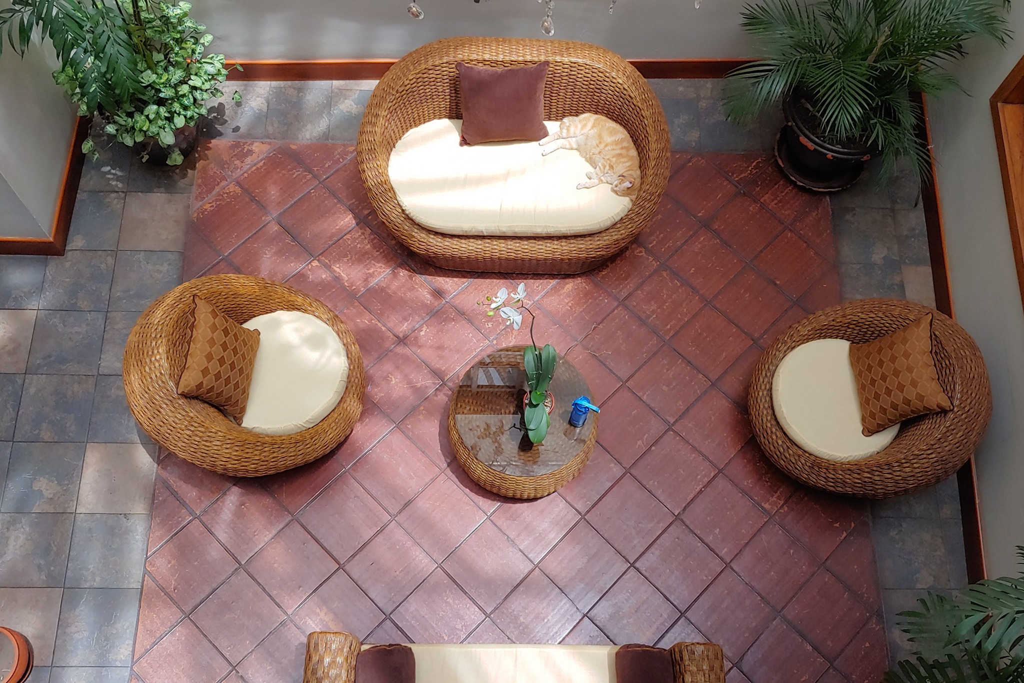 Pepe's House Cuenca l Hotel & Boutique Hostel 18/19