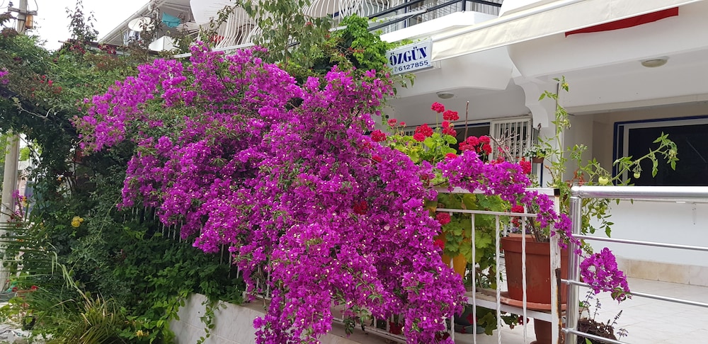 Ozgun Apart Otel Kusadasi 5/29