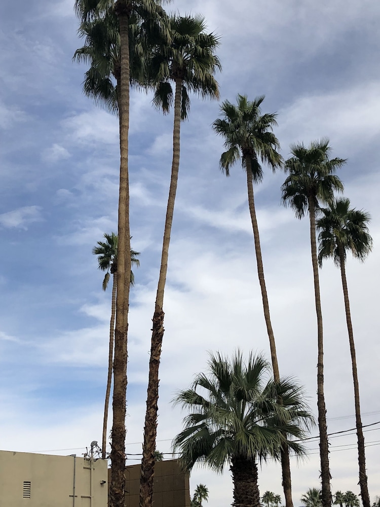 Desert Lodge 43/50