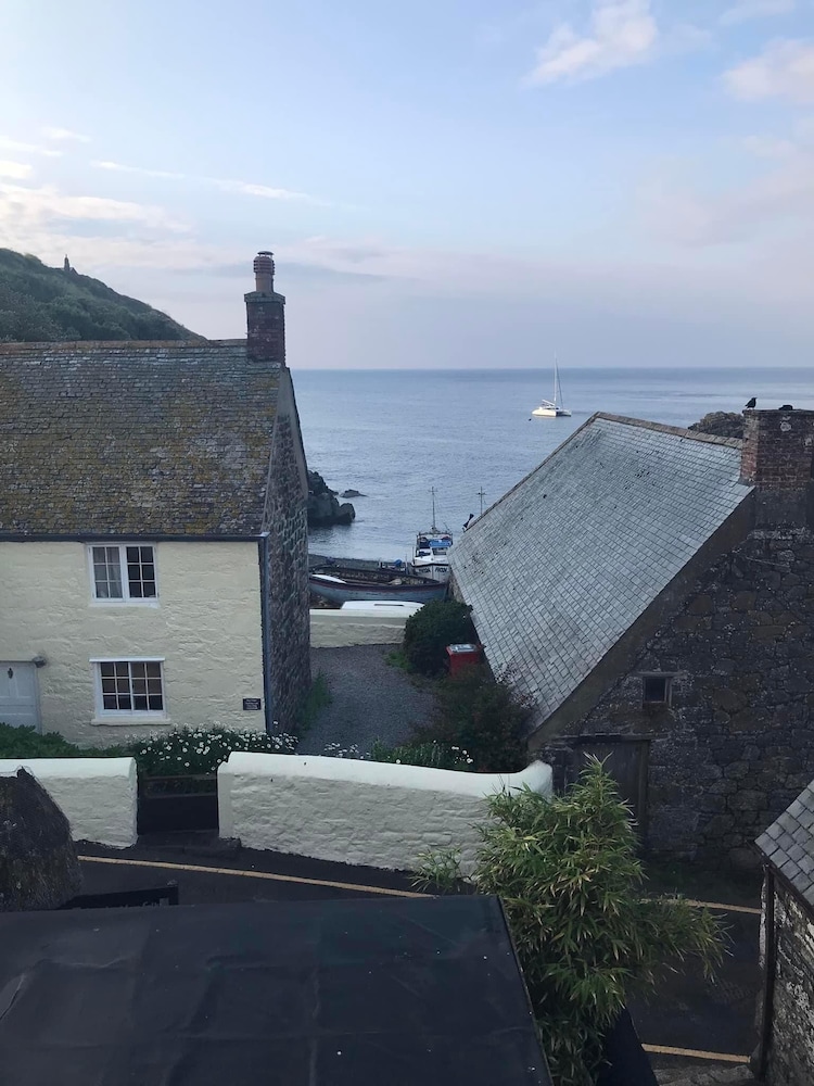 Cadgwith Cove Inn 39/50