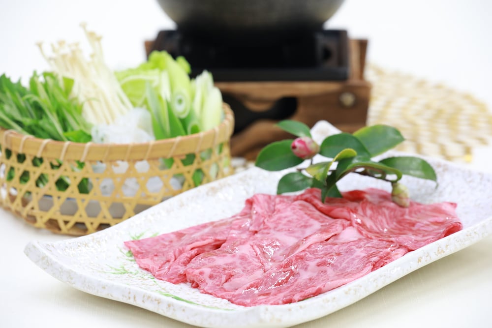Hotel Binario Saga Arashiyama 24/67