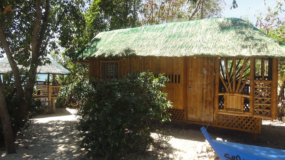 Sea Turtle House 44/50