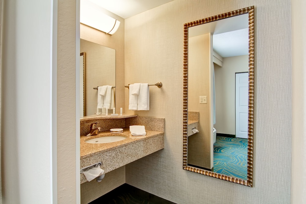 Springhill Suites By Marriott Erie 22/39