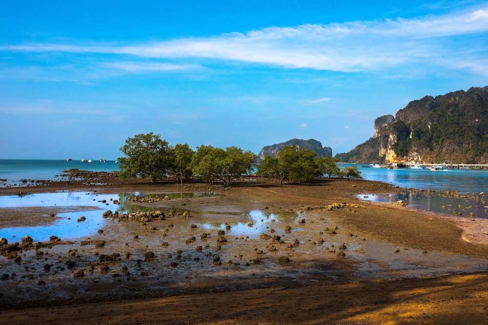 Villa Cha Cha Krabi Beachfront Resort 64/69