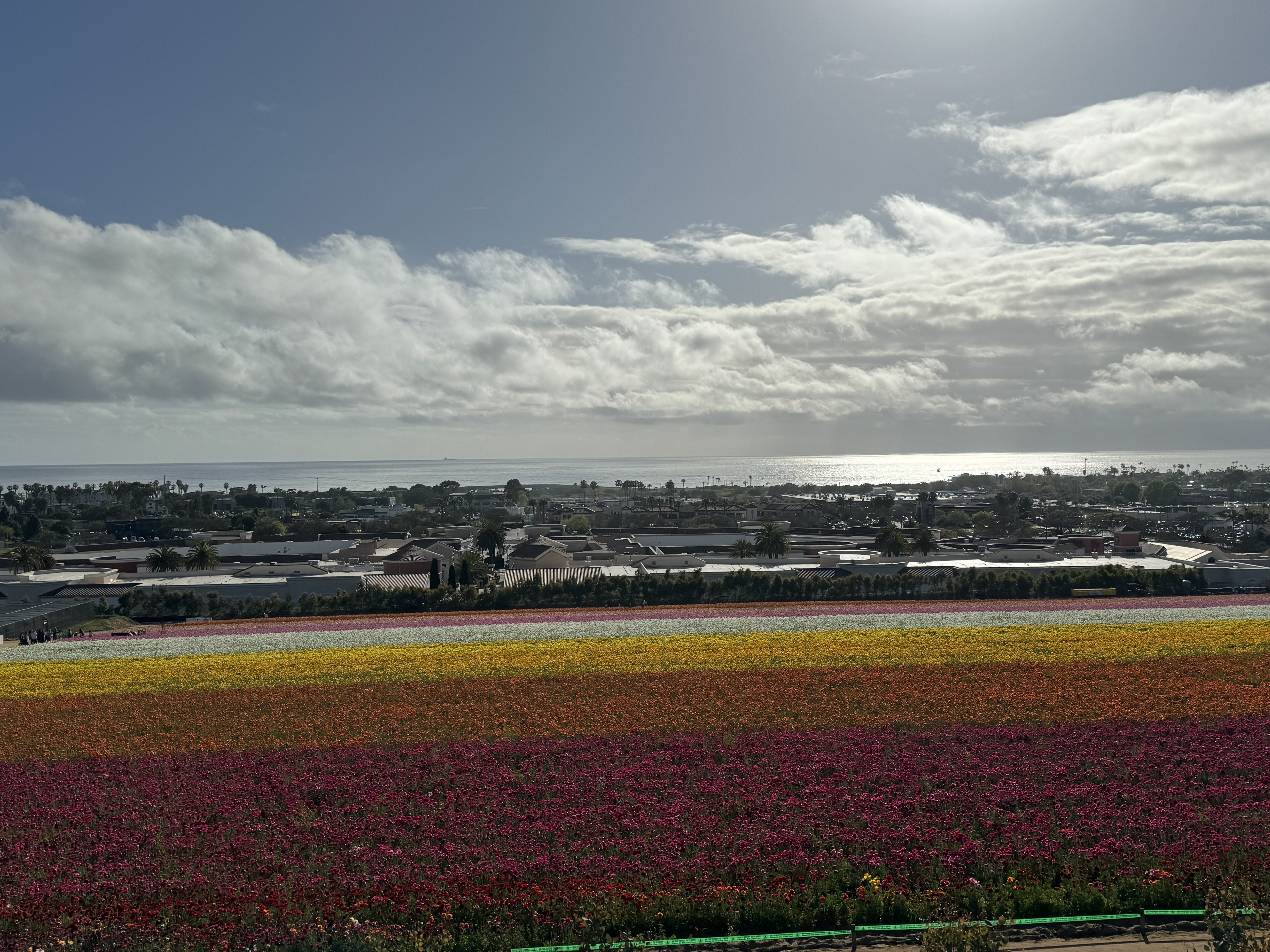 Holiday Inn Express Hotel & Suites Carlsbad Beach 39/45