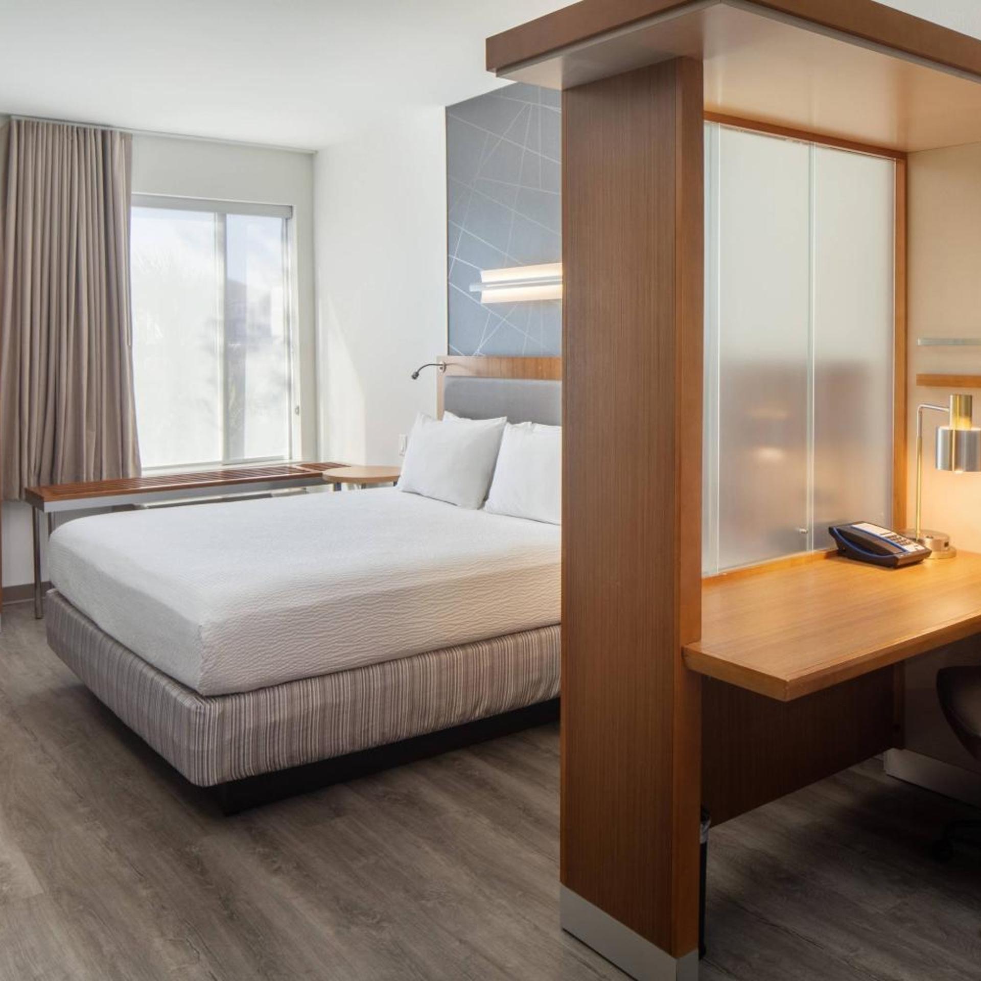 Suite, King Bed, Trundle Bed, Sofa, Bathtub, Accessible