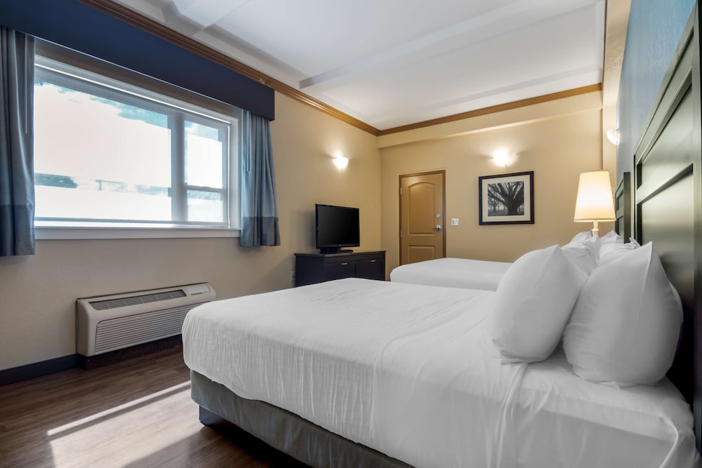 Standard, 2 Queen Beds, Pet Friendly