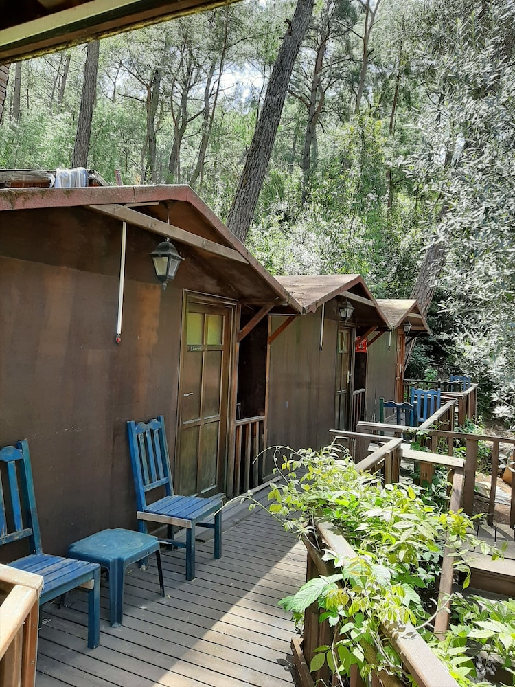 Altaris Bungalows Olympos 12/19