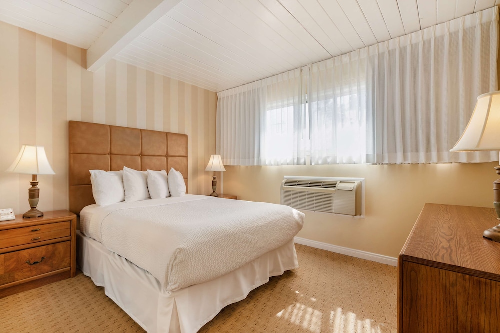 APARTMENT, QUEEN BED, SOFA, LIVING AREA, KITCHEN