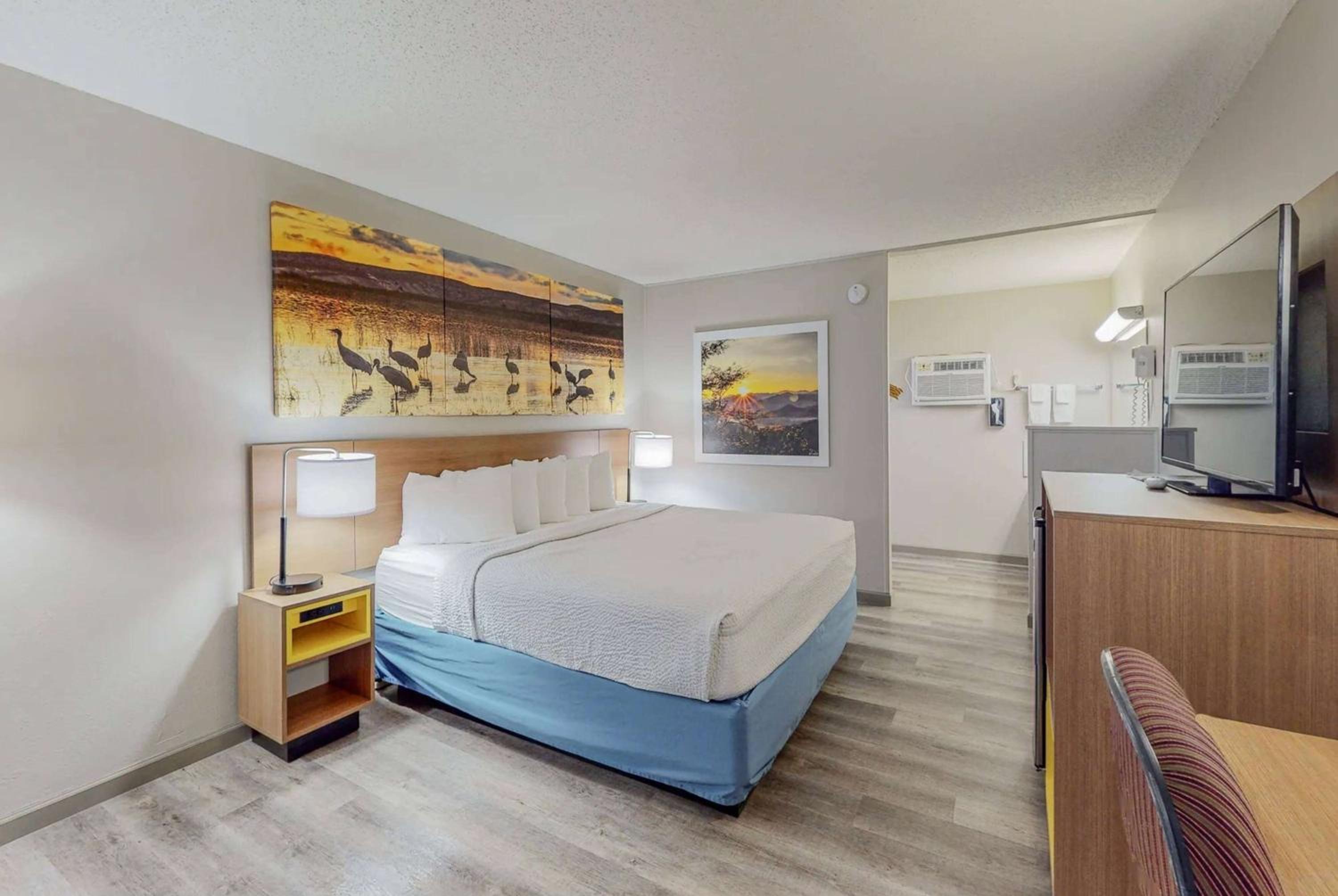 Room, King Bed