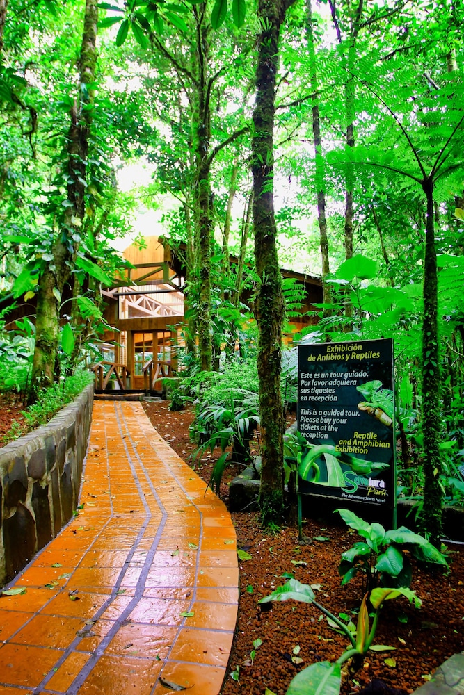 Hotel Ficus Monteverde 14/74