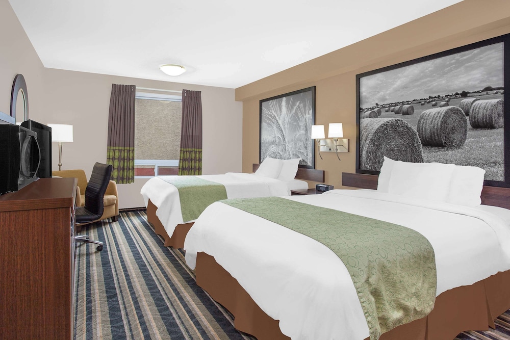 Efficiency, 2 Queen Beds