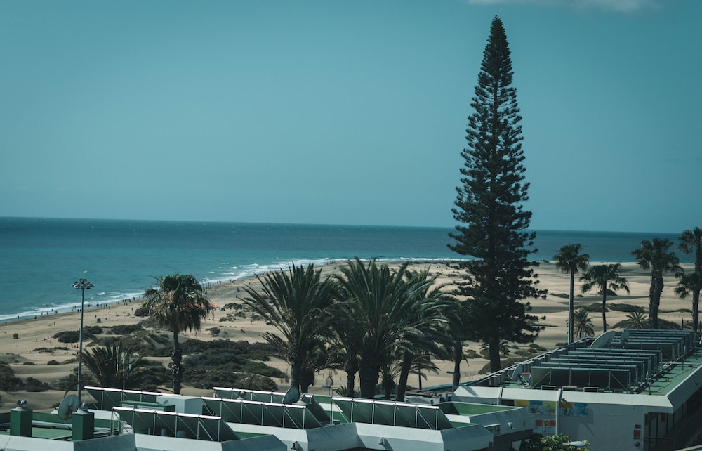 Apartamentos El Palmar 35/67