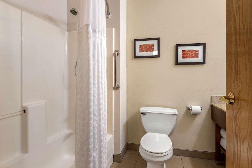 Comfort Inn And Suites Paw Paw 54/54