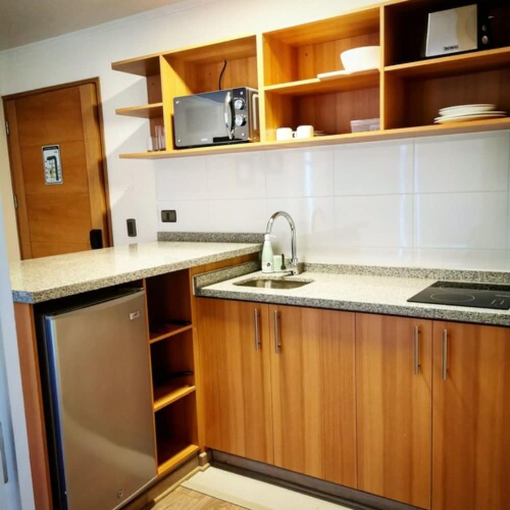 APART HOTEL VIVA PROVIDENCIA 30/30