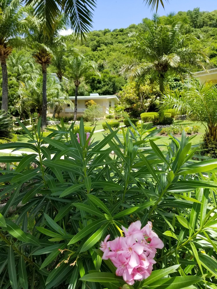 BLUE HORIZONS GARDEN RESORT 29/43