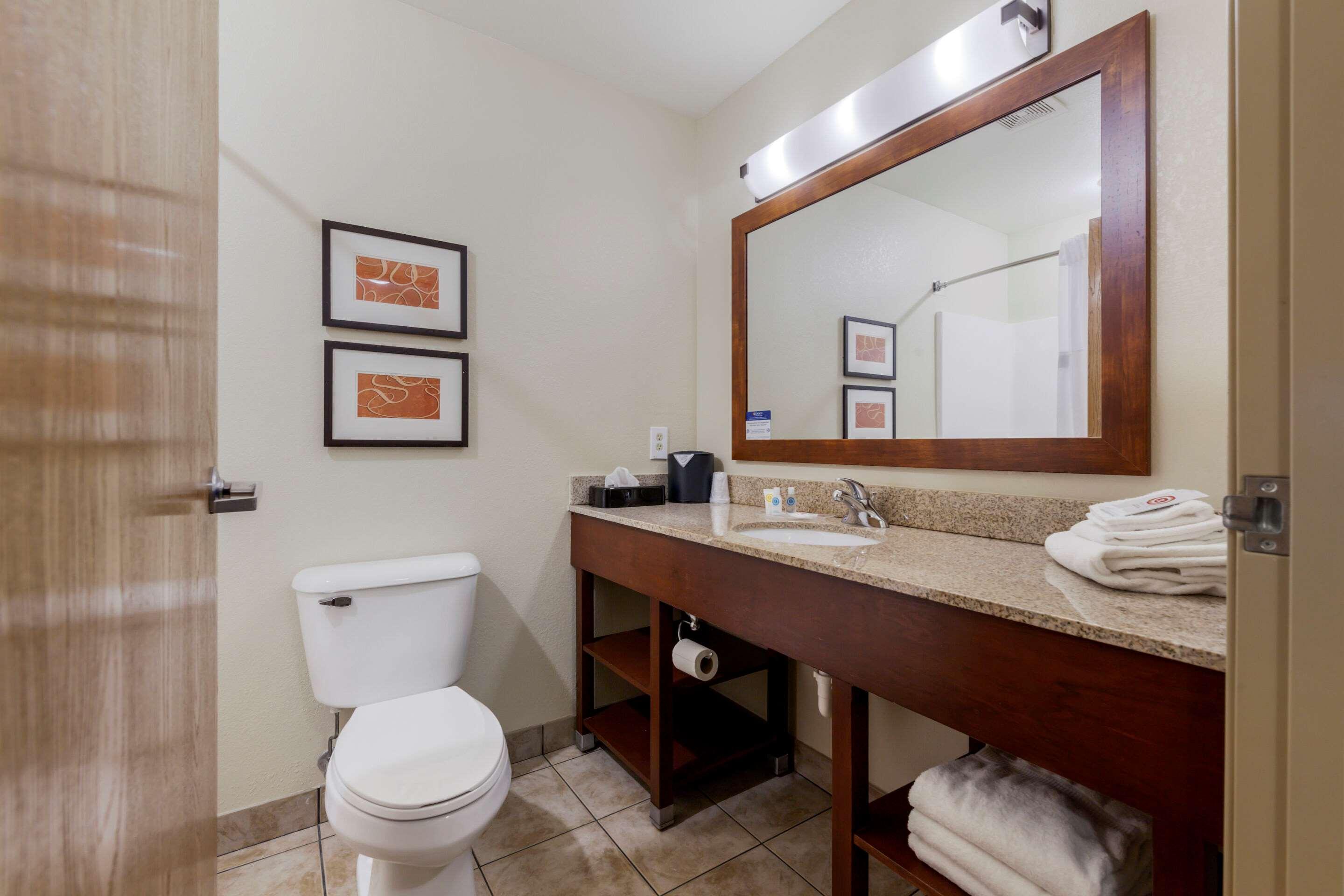 جناح بسرير كينج، Comfort Suites Johnson Creek Conference Center 4/4