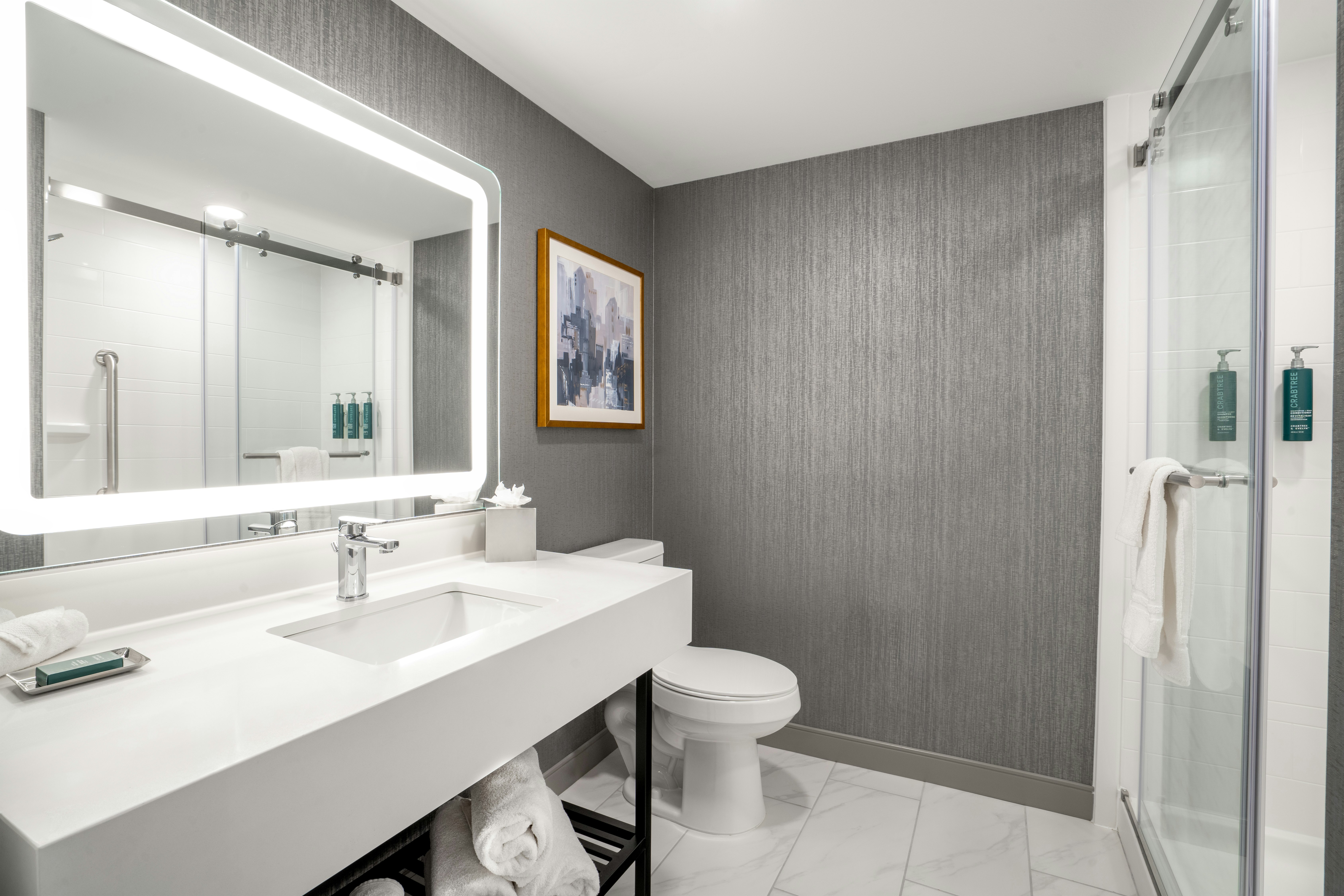 غرفة بسرير كينج لذوي الإعاقة، DoubleTree by Hilton Sioux City 3/4