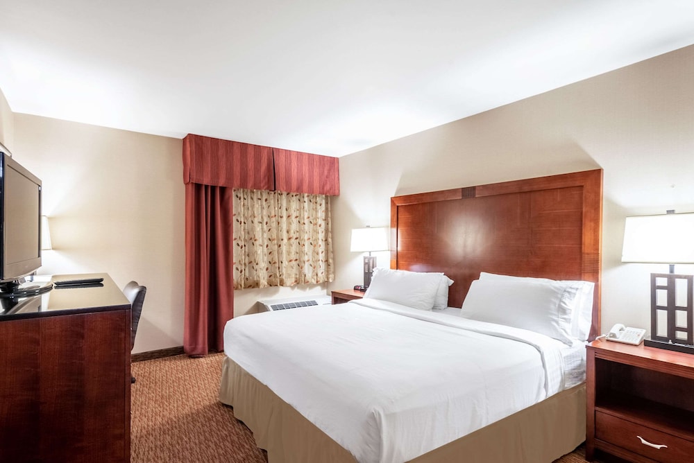 Holiday Inn Friso by IHG 19/68