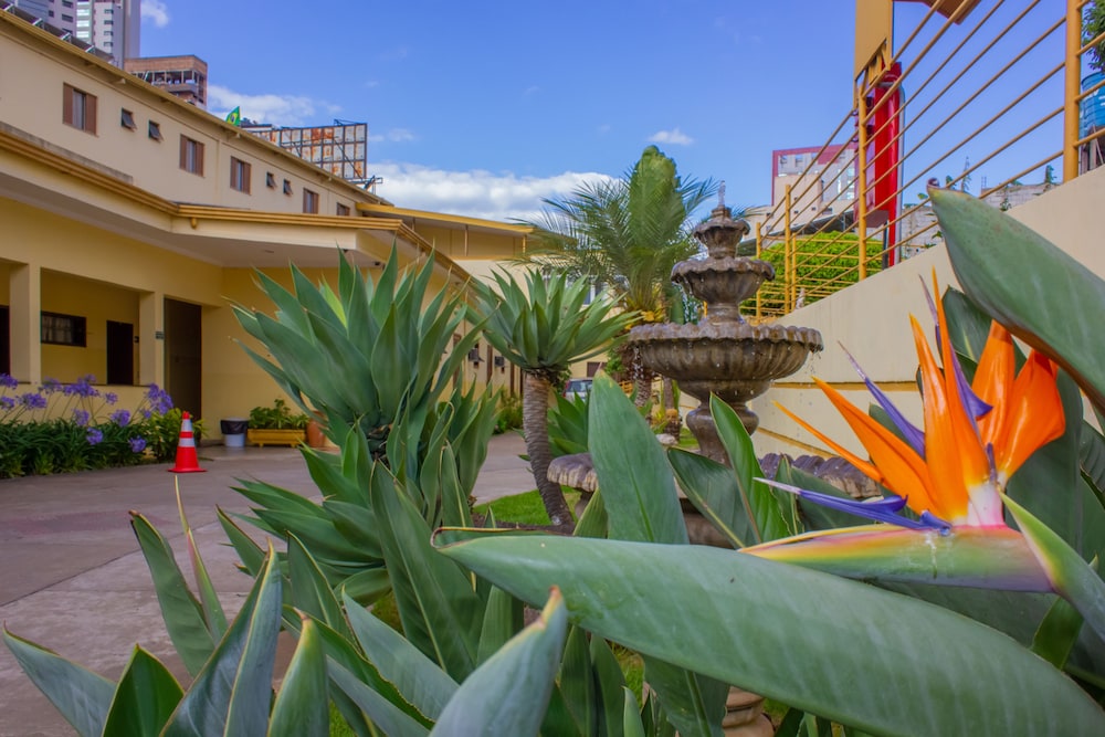 Hotel Meri 31/41