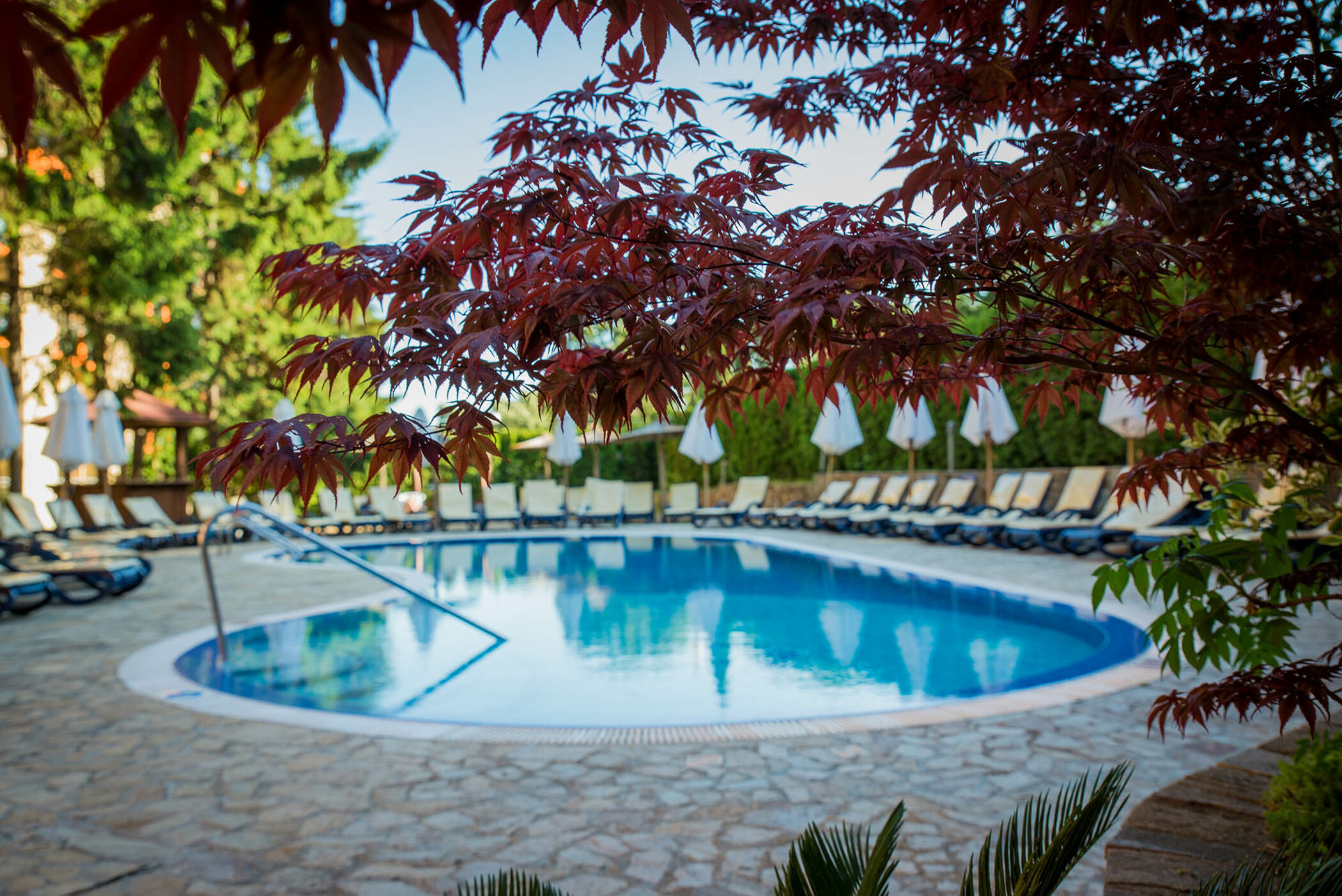 Sunshine Club Magnolia & Spa Hotel(Ex. Primasol) 42/48