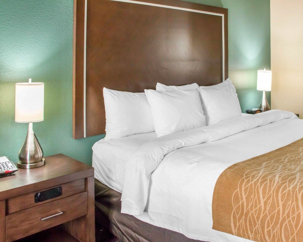 Comfort Inn and Suites San Marcos 17/47