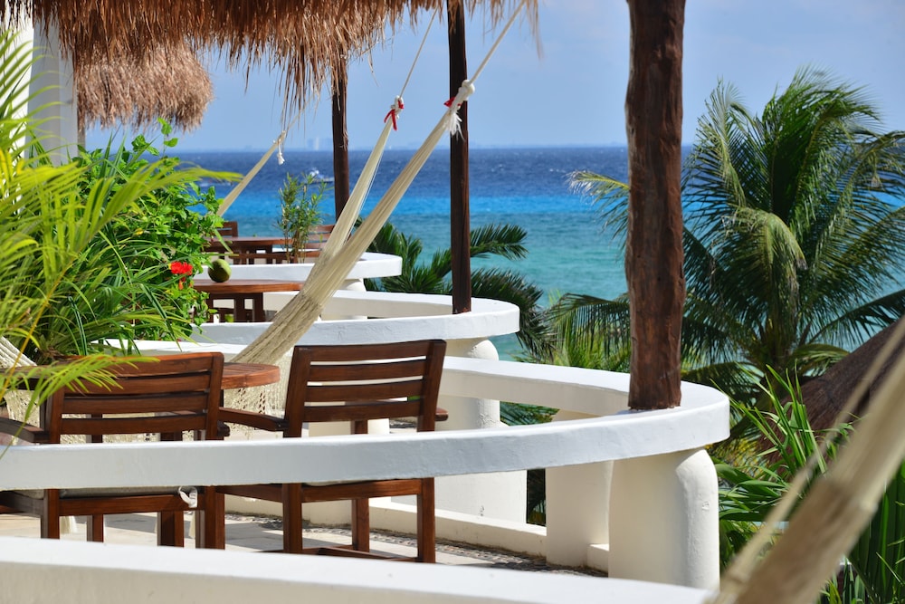Playa Palms Hotel 56/69