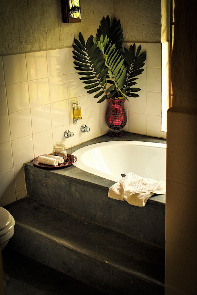 Shikwari Bush Lodge &amp; Pangolin Bush Camp 4/50