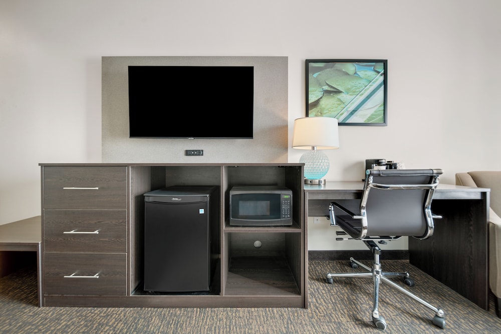 La Quinta Inn & Suites by Wyndham Sulphur (Lake Charles) 25/34