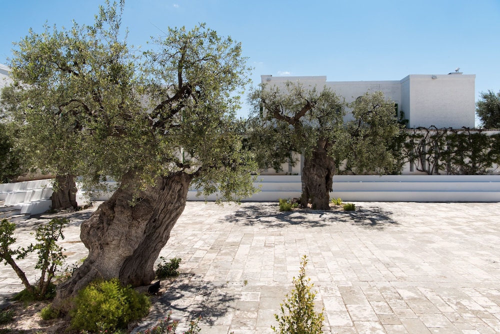 Masseria Il Melograno 72/76
