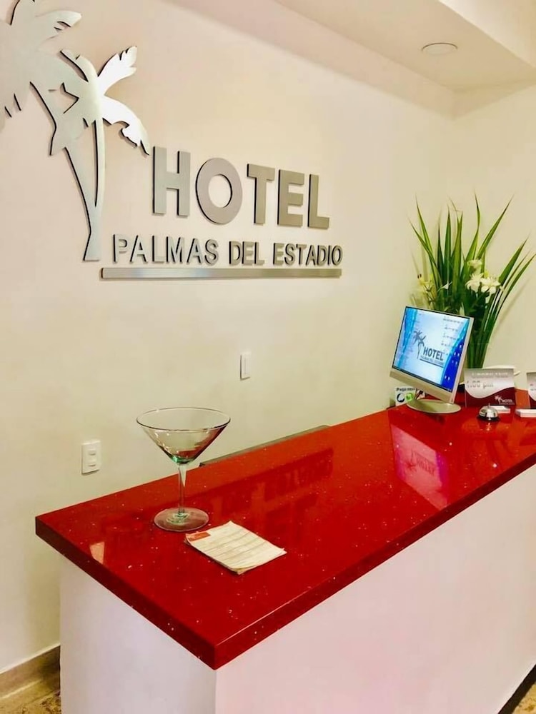 Hotel Palmas Del Estadio 7/64