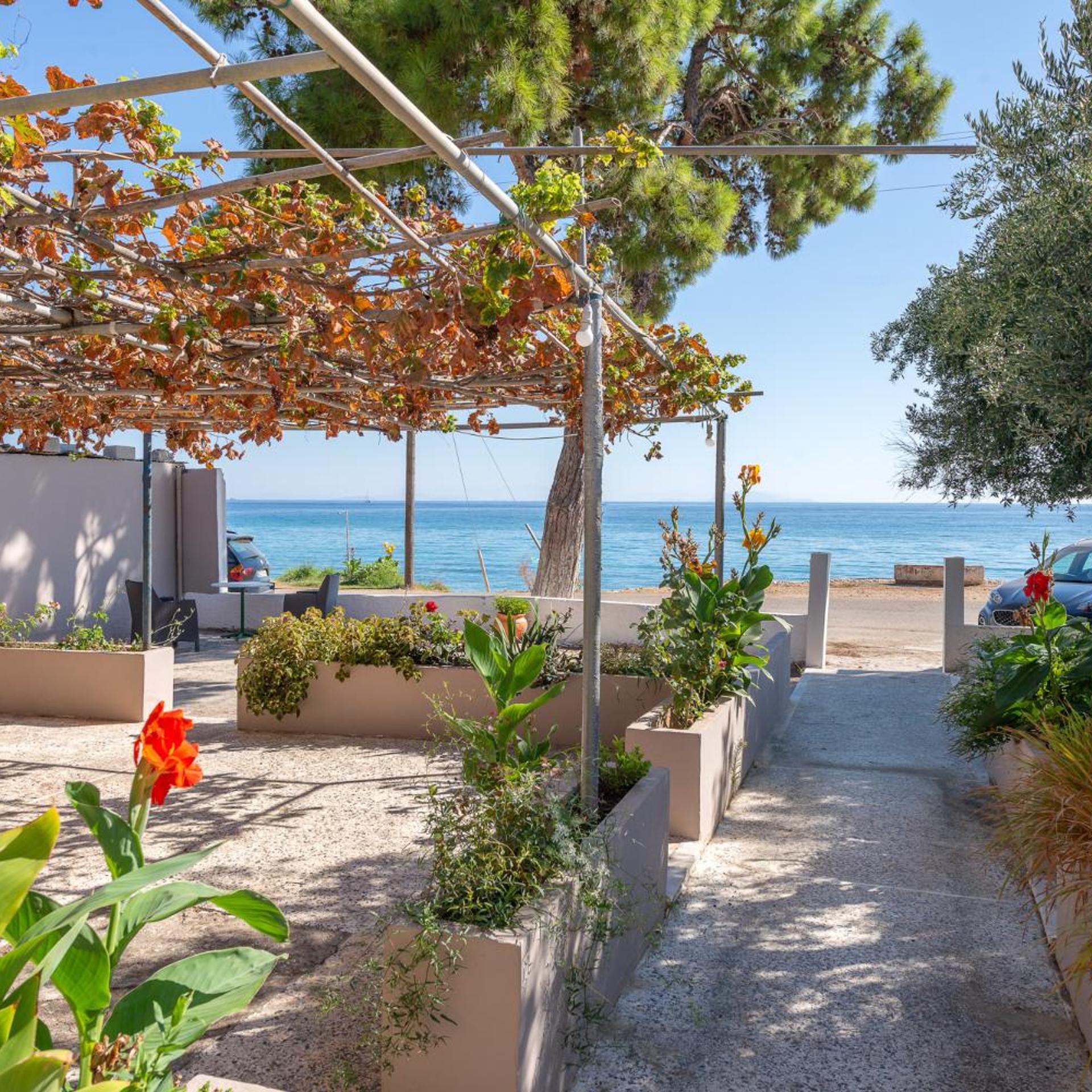 Akrogiali Studios Poros 11/15