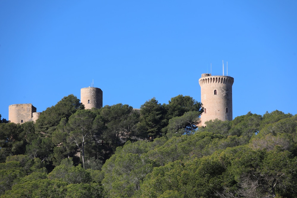Sercotel Zurbaran Palma 62/64