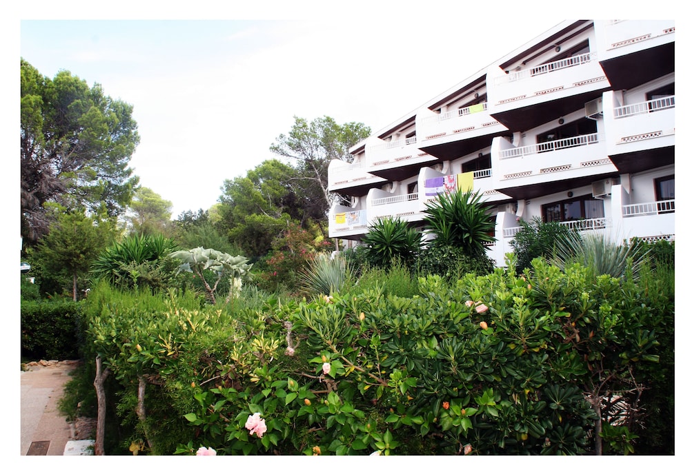 Apartamentos Del Rey 18/25
