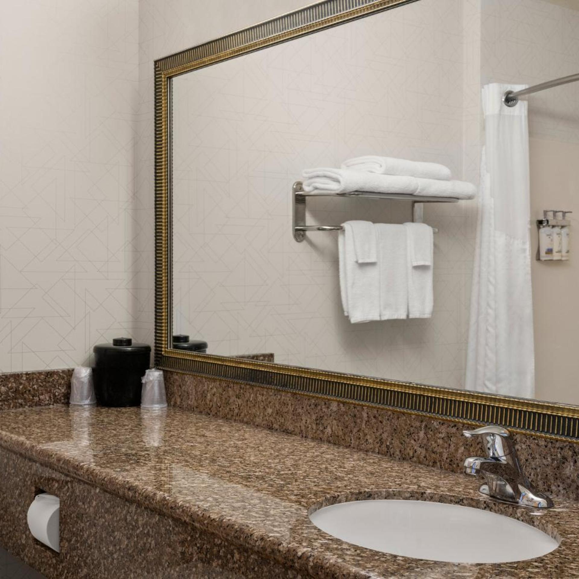 جناح بسرير كينج بغرفة نوم واحدة، Holiday Inn Express Suites New Buffalo 4/4