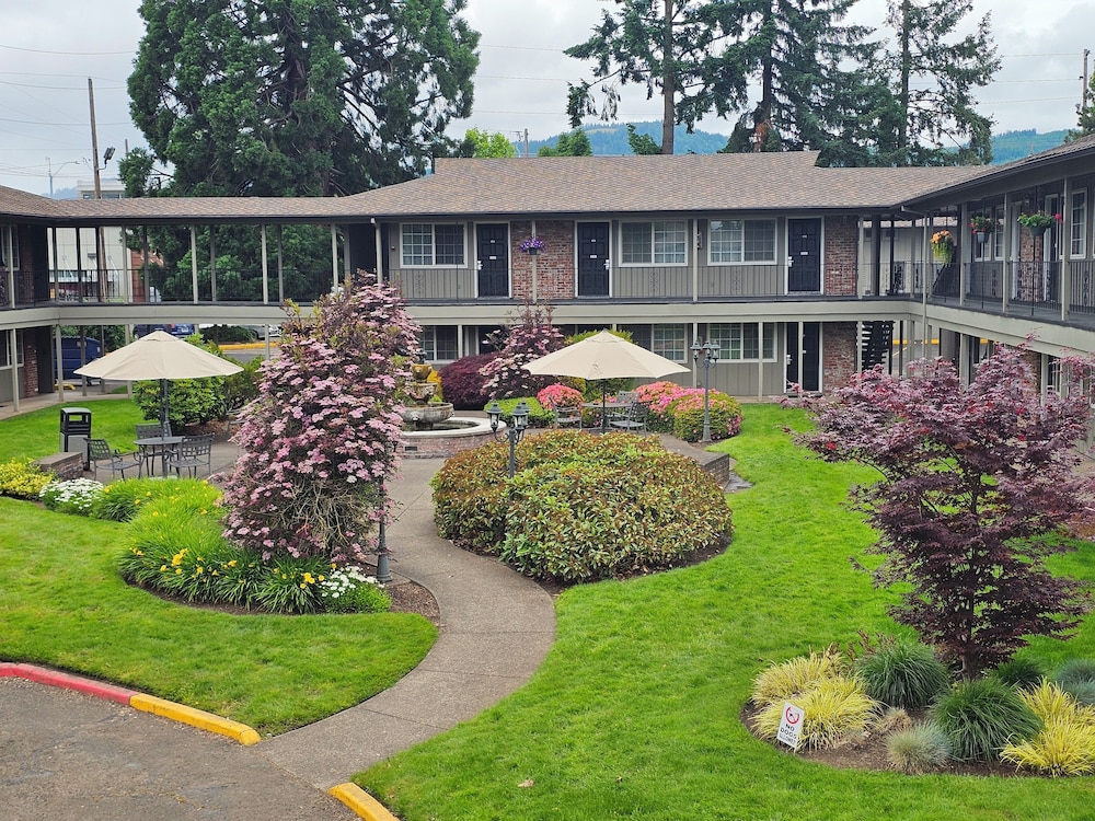 Village Inn Springfield 51/59