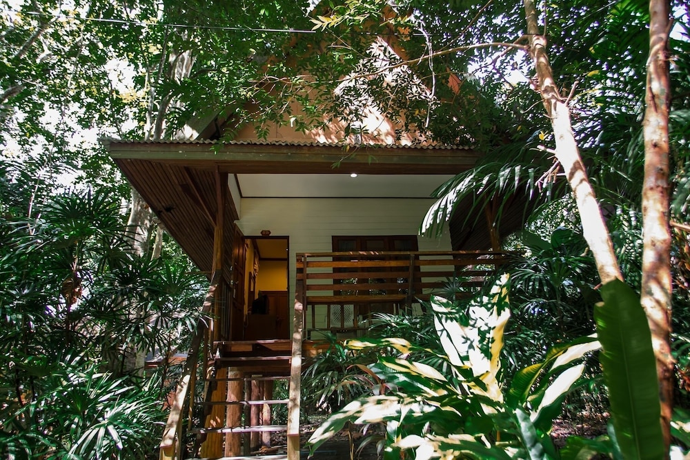 The Vatika度假村and水疗(The Vatika Resort and Spa) 图片5