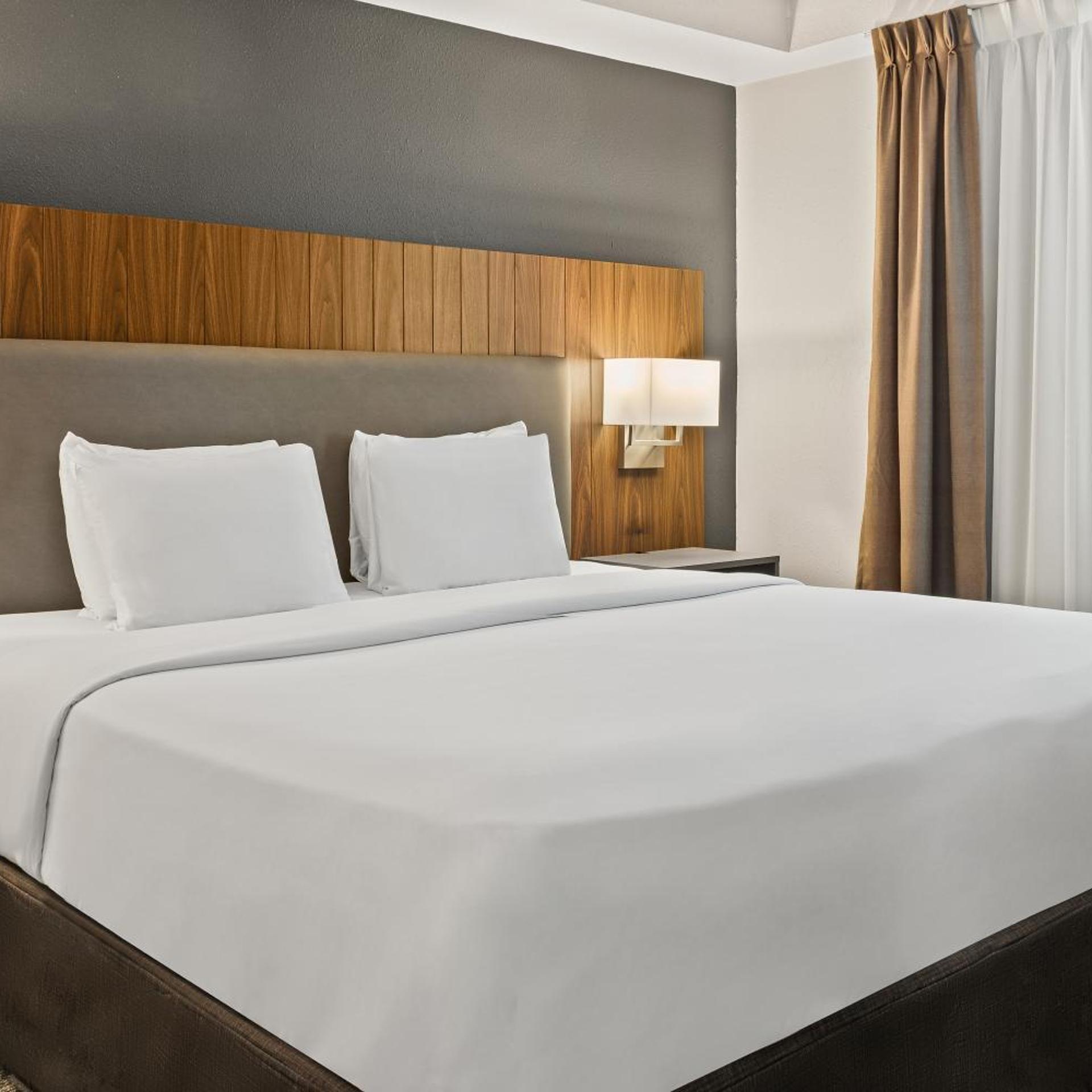 Efficiency, Suite, King Bed, Accessible