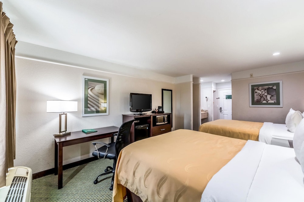 Quality Inn & Suites Seaworld North 21/42