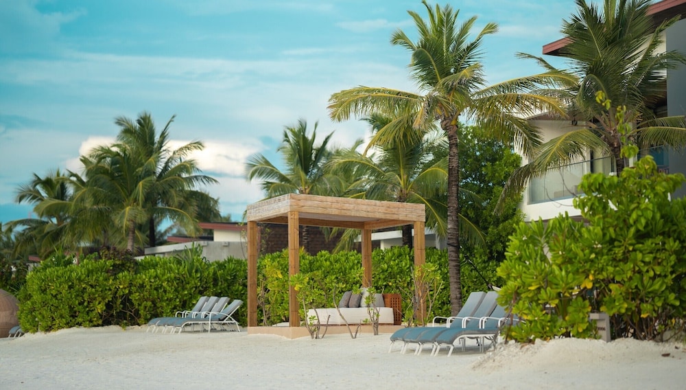 Kuda Villingili 56/67