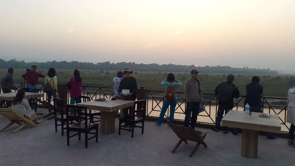 Jungle Wildlife Camp 16/41