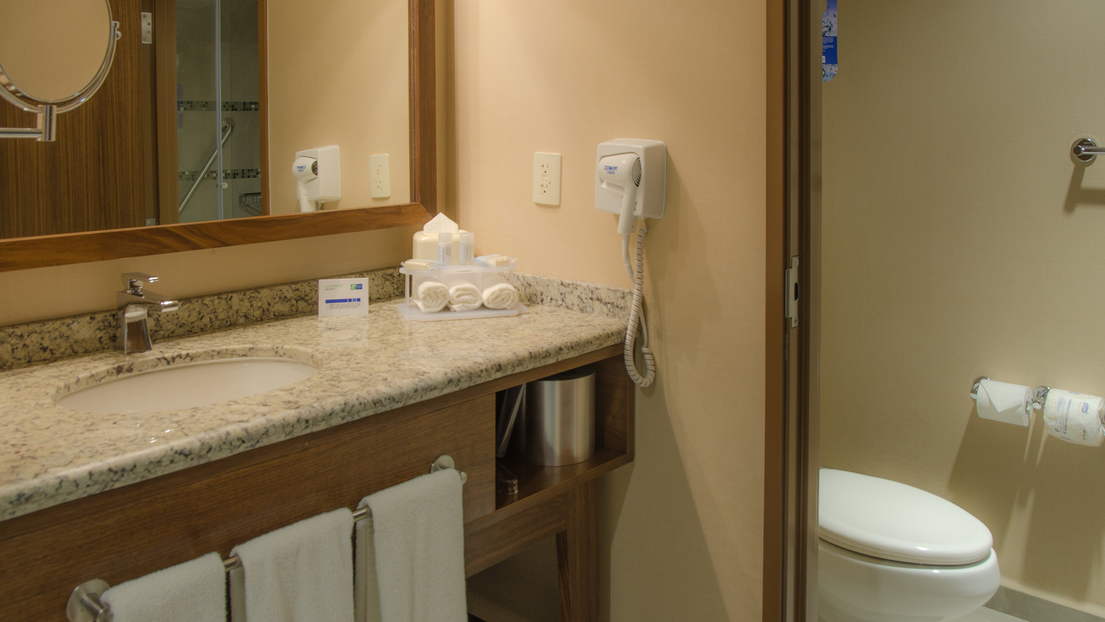 Holiday Inn Express and Suites Celaya 50/50
