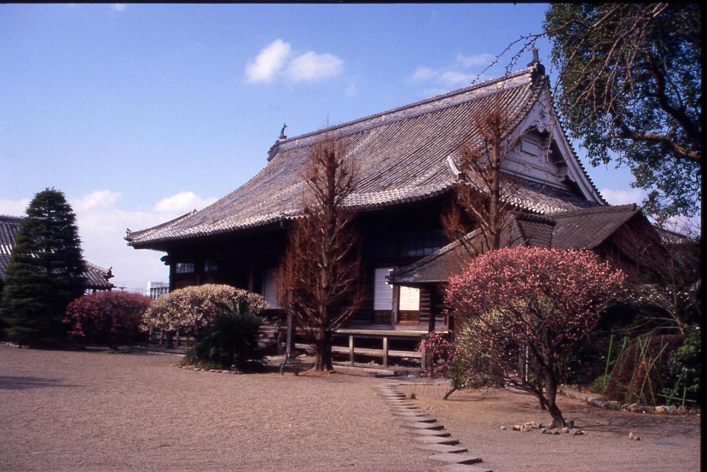 Hakuryusoh 38/43