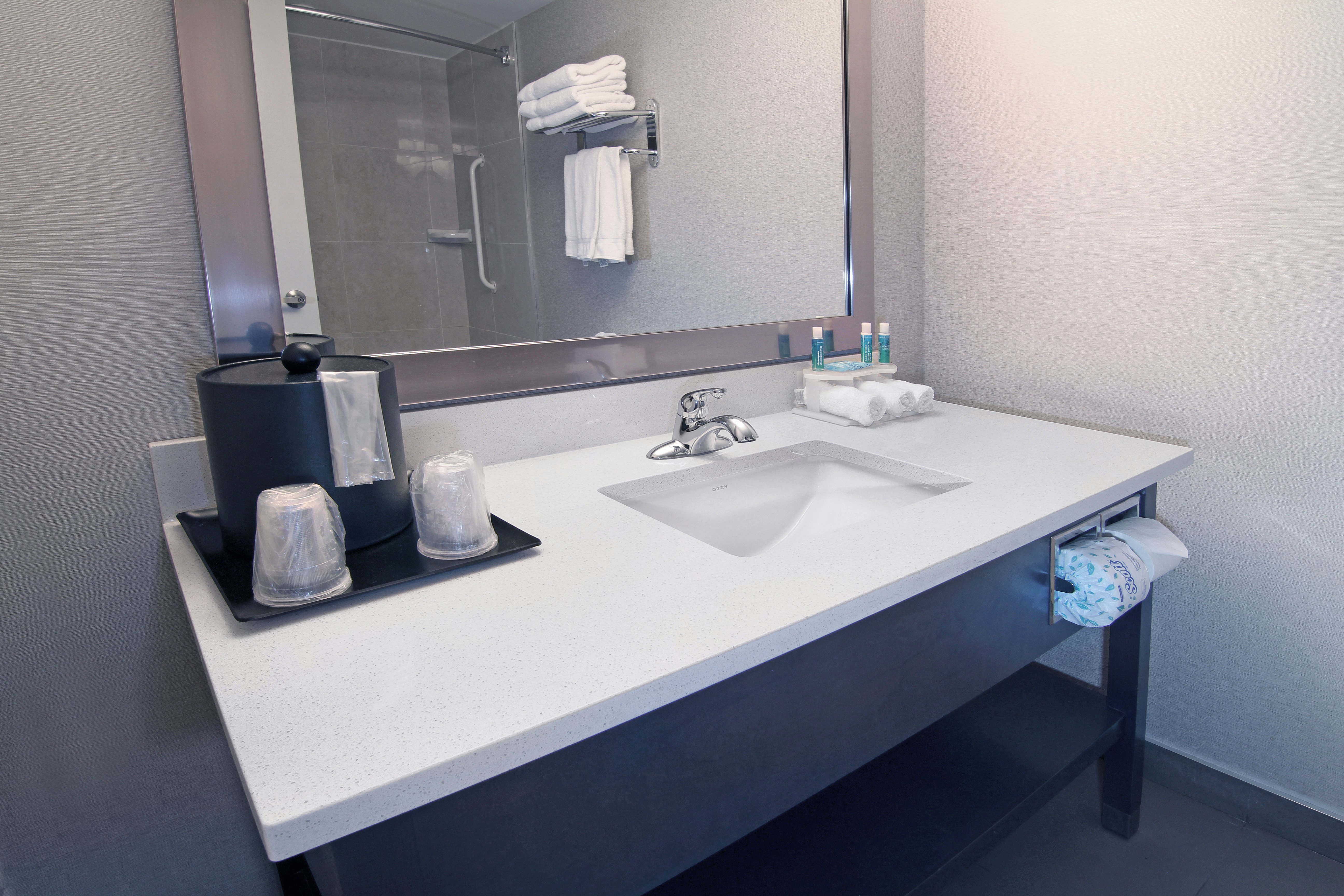 Holiday Inn Express Hotel & Suites Calgary 70/71