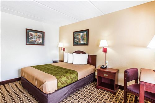 Room, Queen Bed