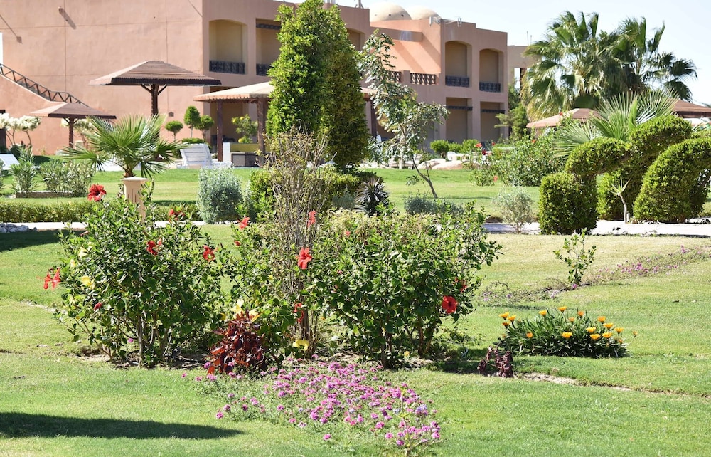 Wadi Lahmy Azur Resort 57/70